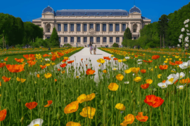 Jardin des plantes