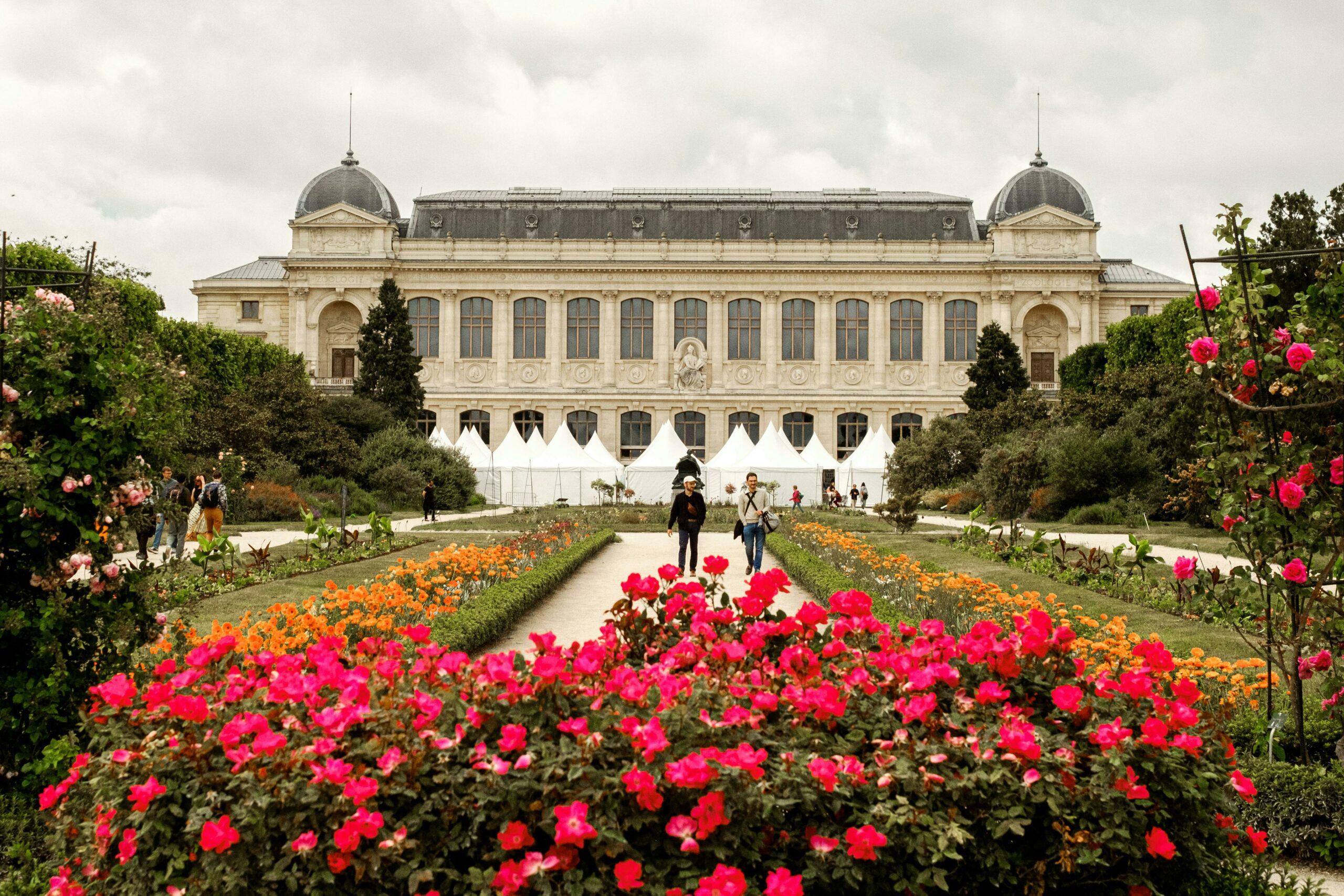 Jardin des plantes